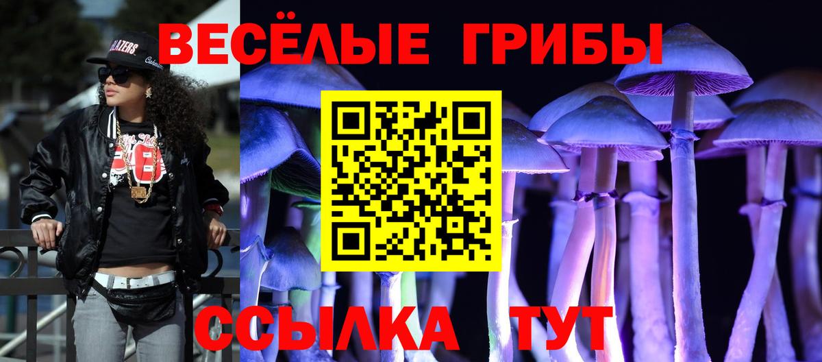 Псилоцибиновые грибы Cubensis Сафоново